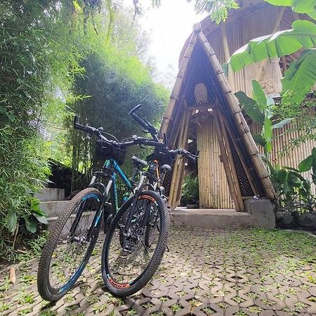 The Nude House Villa Selat Exterior foto