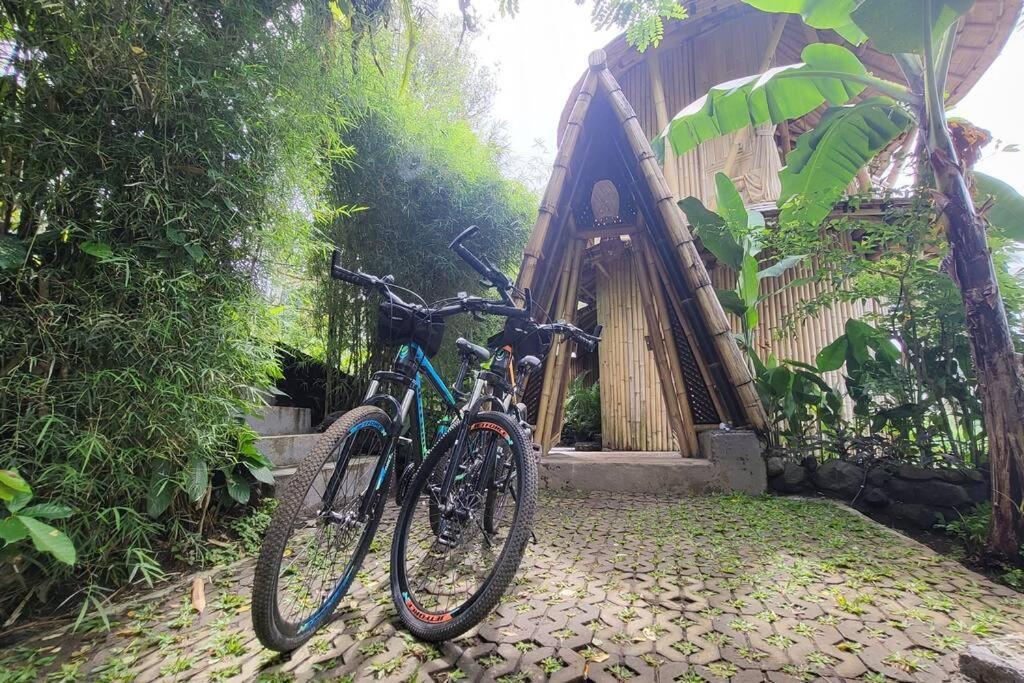 The Nude House Villa Selat Exterior foto